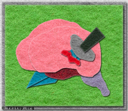 Routine Bodily Functions that suck